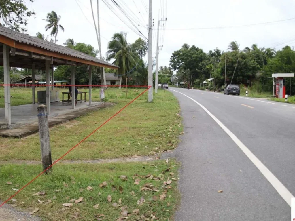 ขาย ที่ดินเปล่า ติดถนนบ้านหัวหิน ท่าชะมวง ตละงู อละงู จสตูล