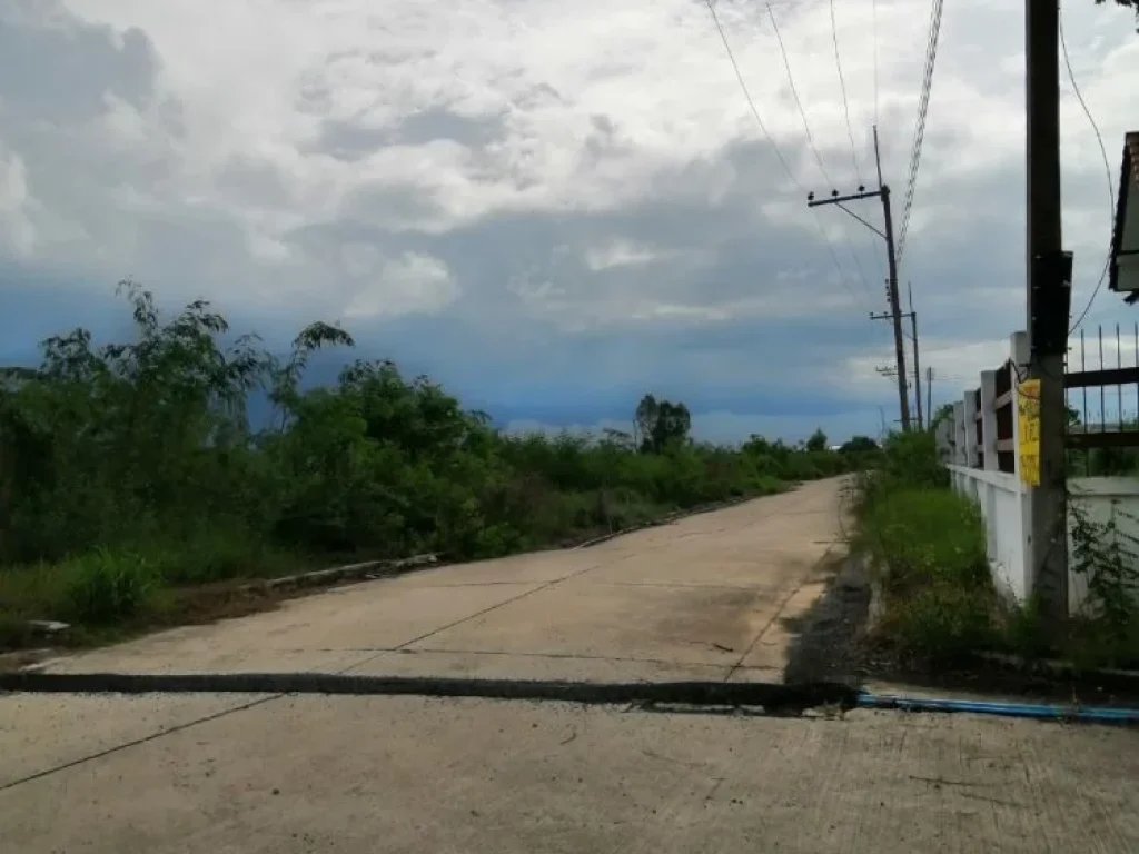 ขายที่ดิน จัดสรรในหมู่บ้านส่องแสง ถนนสุพรรณบุรี-บางบัวทอง ตำบลสามเมือง อำเภอลาดบัวหลวง จังหวัดพระนครศรีอยุธยา ถ