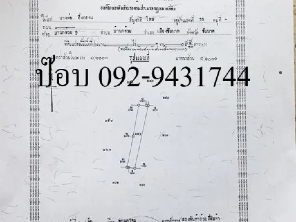 ขายที่ดินในตัวเมืองชัยนาท ซบ้านกล้วย 5 พื้นที่ 260 ตารางวา