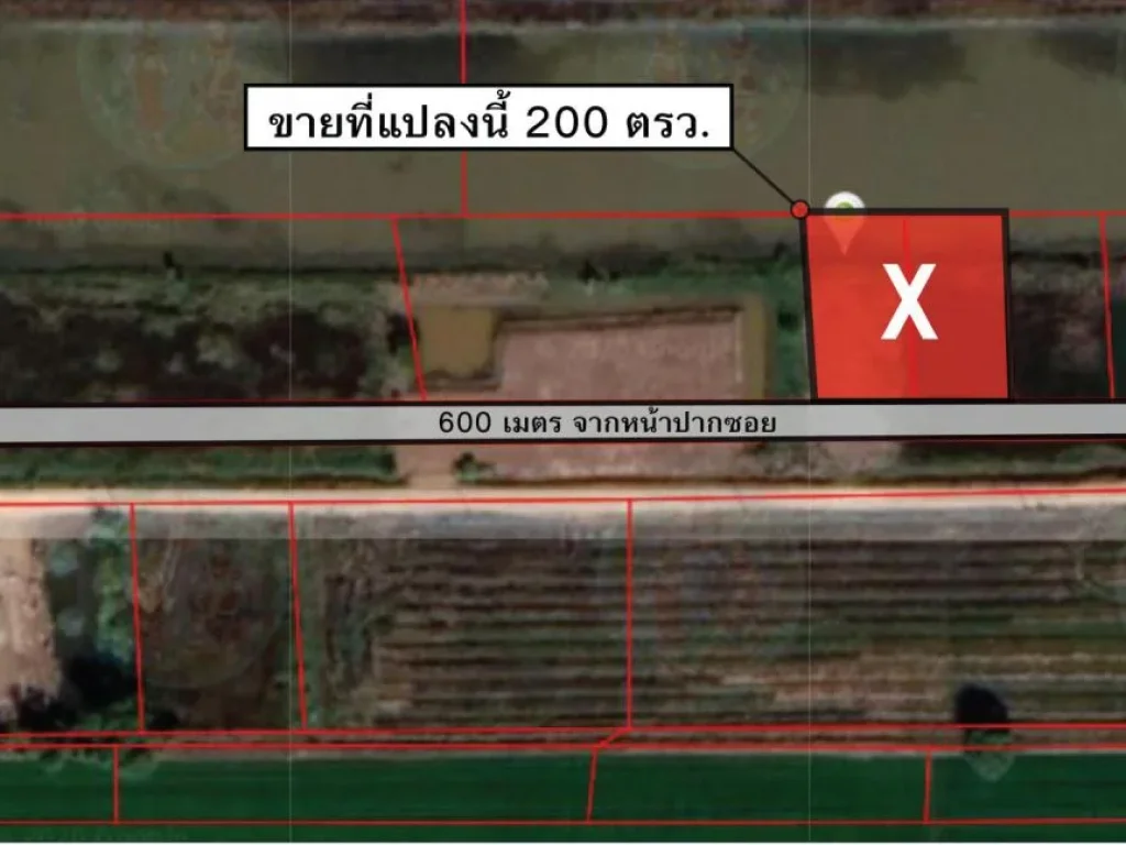 ขายที่ดินตลองหลวง ถเลียบคลอง4 ฝั่งตะวันออก ปทุมธานี อยู่ซอยเดียวกับโรงเรียนวัดมงคลพุการาม รูปแปลงสวย สี่เหลี่ยมจัตุรัส พื้นที่200ตรว ขาย125ล้าน