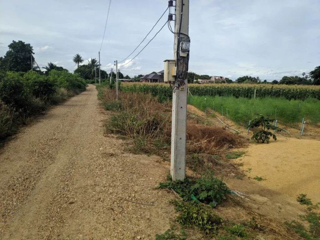 ขายที่ดินเพื่อทำการเกษตร ตทัพหลวง อเมือง นครปฐม