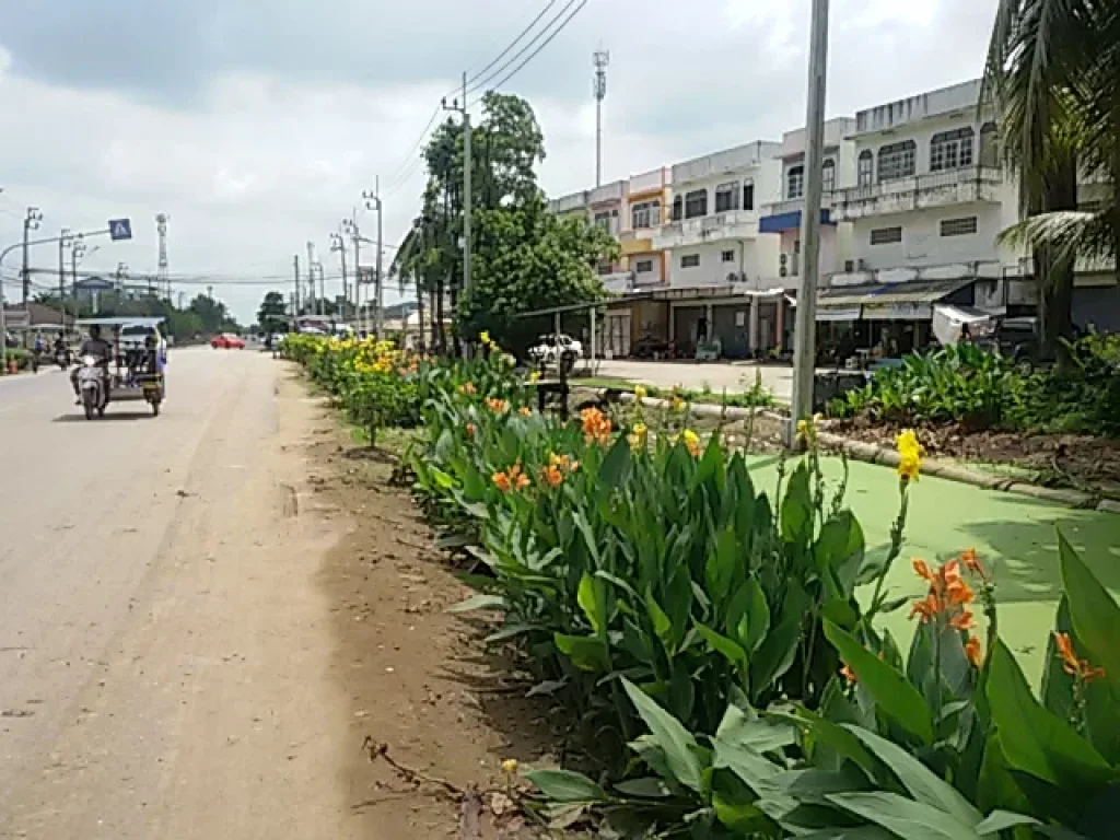 ขายที่ดินคลองสิบ หนองจอก แปลงสวย เนื้อที่ 5 ไร่ ติดถนนกว้าง-ติดคลองใหญ่ ไฟสามเฟส ราคาโควิด 3 ล้านต่อไร่