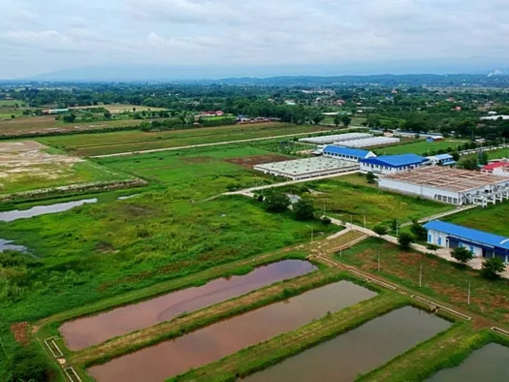 ขายที่ดิน ตำบลแม่แฝก อำเภอสันทราย จังหวัดเชียงใหม่ ใกล้สถานีผลิตน้ำแม่แฝก