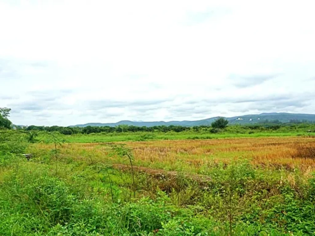 ขายที่ดิน ตำบลแม่แฝก อำเภอสันทราย จังหวัดเชียงใหม่ ใกล้สถานีผลิตน้ำแม่แฝก