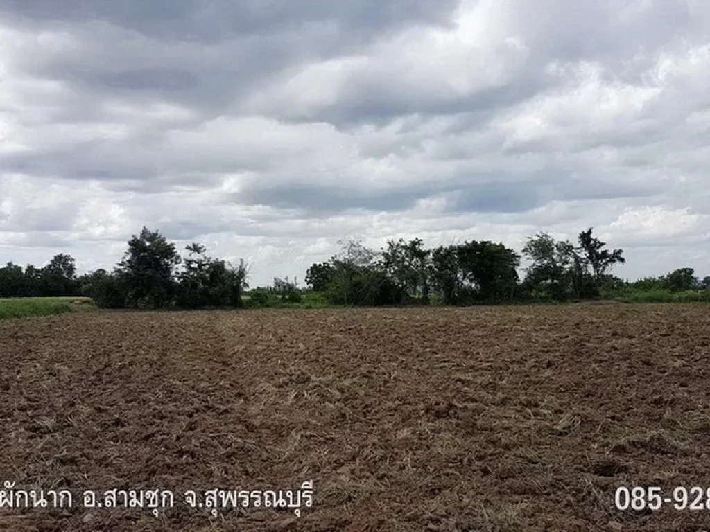 ขายที่ดิน หนองผักนาก สามชุก สุพรรณบุรี 9-2-28 ไร่