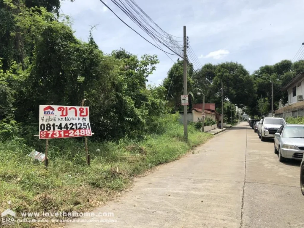 ขายที่ดินหมู่บ้านเมืองทองธานี6 แจ้งวัฒนะ พื้นที่160ตรว ขายตารางวาละ90000บาท ที่แปลงมุม ถมแล้ว ใกล้อิมแพ็คเมืองทองธานี ใกล้ทางด่วน ใกล้แนวรถไฟฟ้า ใกล