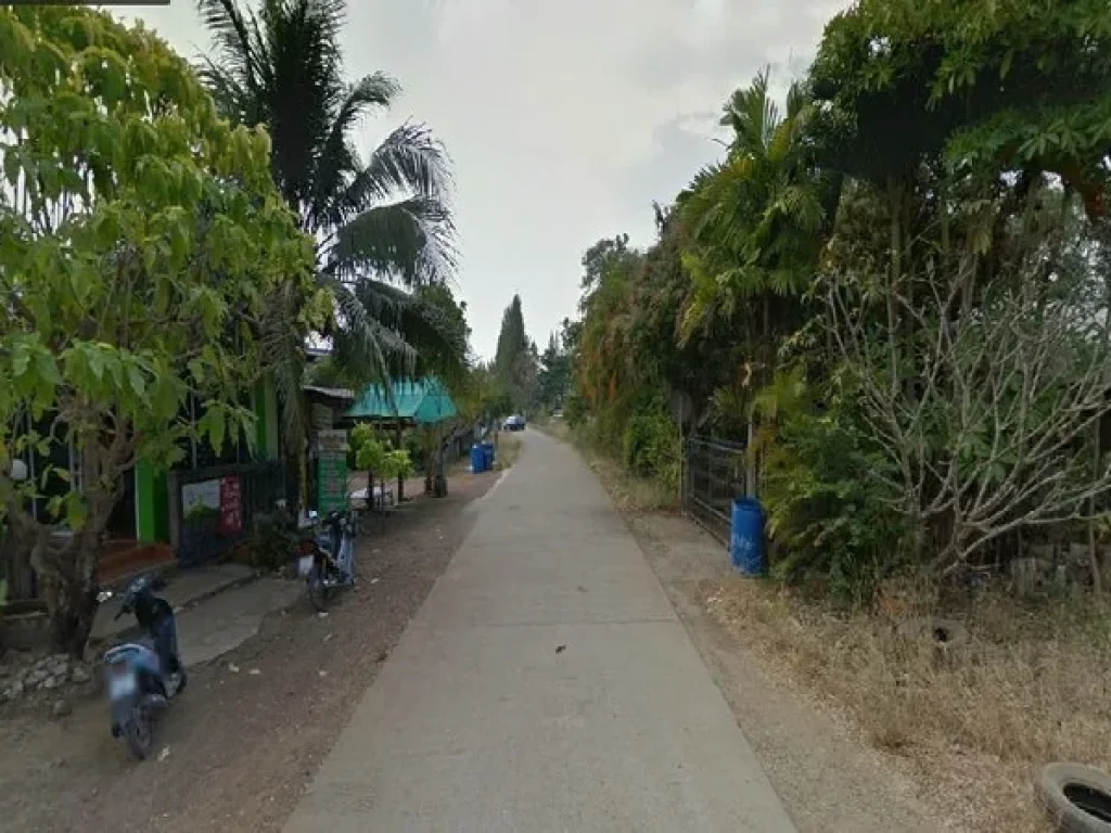 ขาย ที่ดิน ถนนรอบวังสำลีเก่า ระหว่าง กม 103-104 ถนนจันทบุรี-สระแก้ว อวังสมบูรณ์ จสระแก้ว