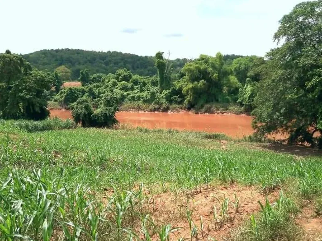 ที่ราบบนเนินสวย ติดแม่น้ำน่าน อุตรดิตถ์