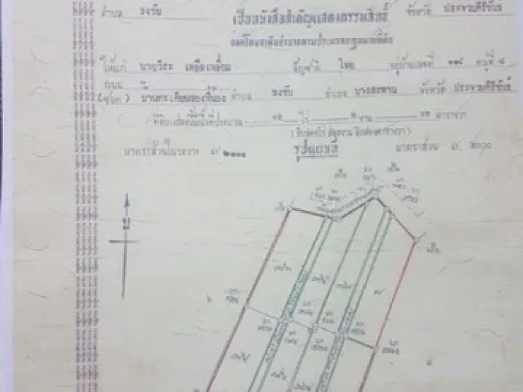 ขายสวนมะพร้าว ตธงชัย อบางสะพาน ประจวบคีรีขันธ์ เนื้อที่ 12 ไร่ เก็บมะพร้าวขายได้ทุกเดือน