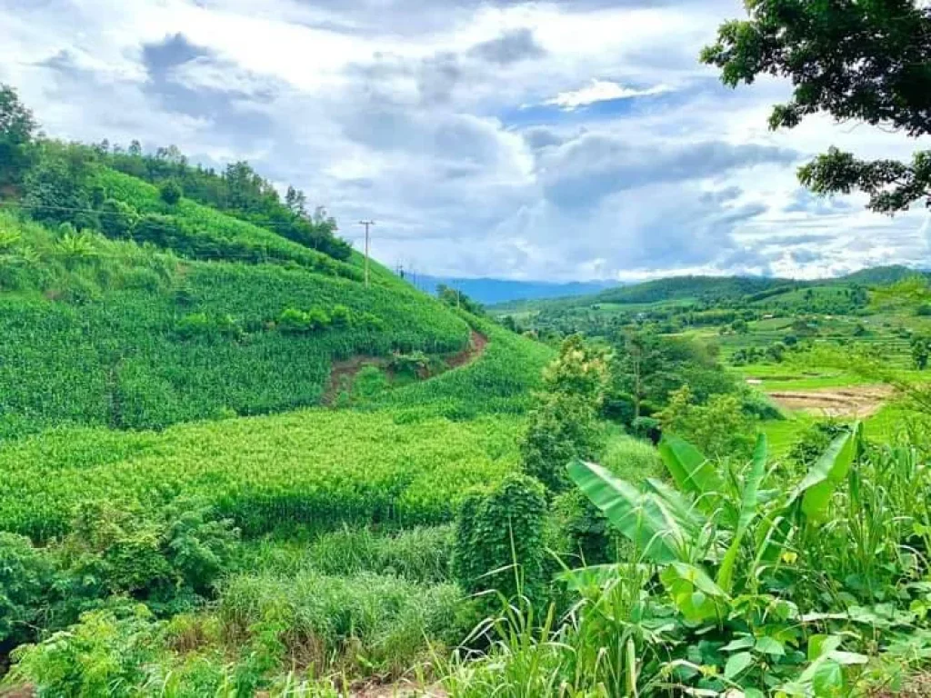 ขายที่ดินติดธารน้ำ ท่าผาแม่แจ่ม วิวเนินดอย เชียงใหม่