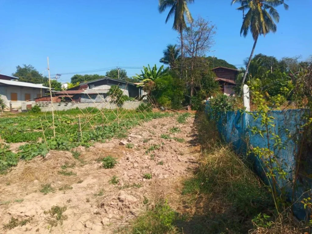 ที่ดิน น้ำอ่าง ตรอน อุตรดิตถ์