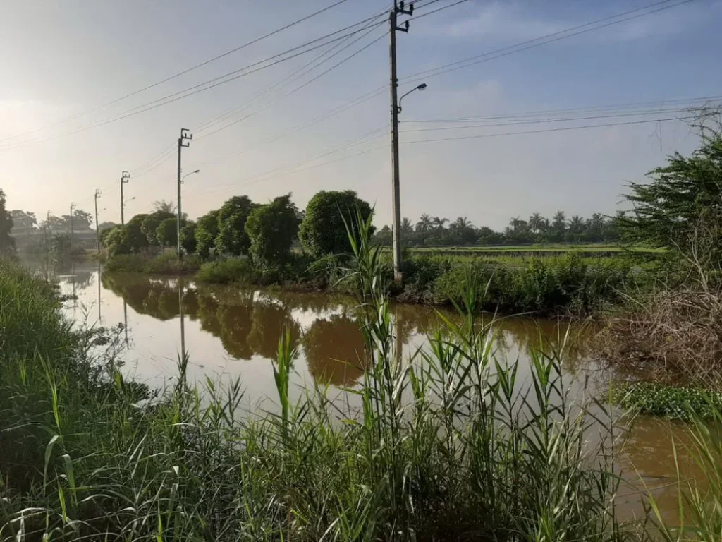 ขายที่ดินเปล่าถนนสุวินทวงศ์102 หนองจอก ใกล้สำนักงานขนส่ง ด้านหลังติดคลอง พื้นที่1-1-37ไร่ ขายตารางวาละ4000บาท