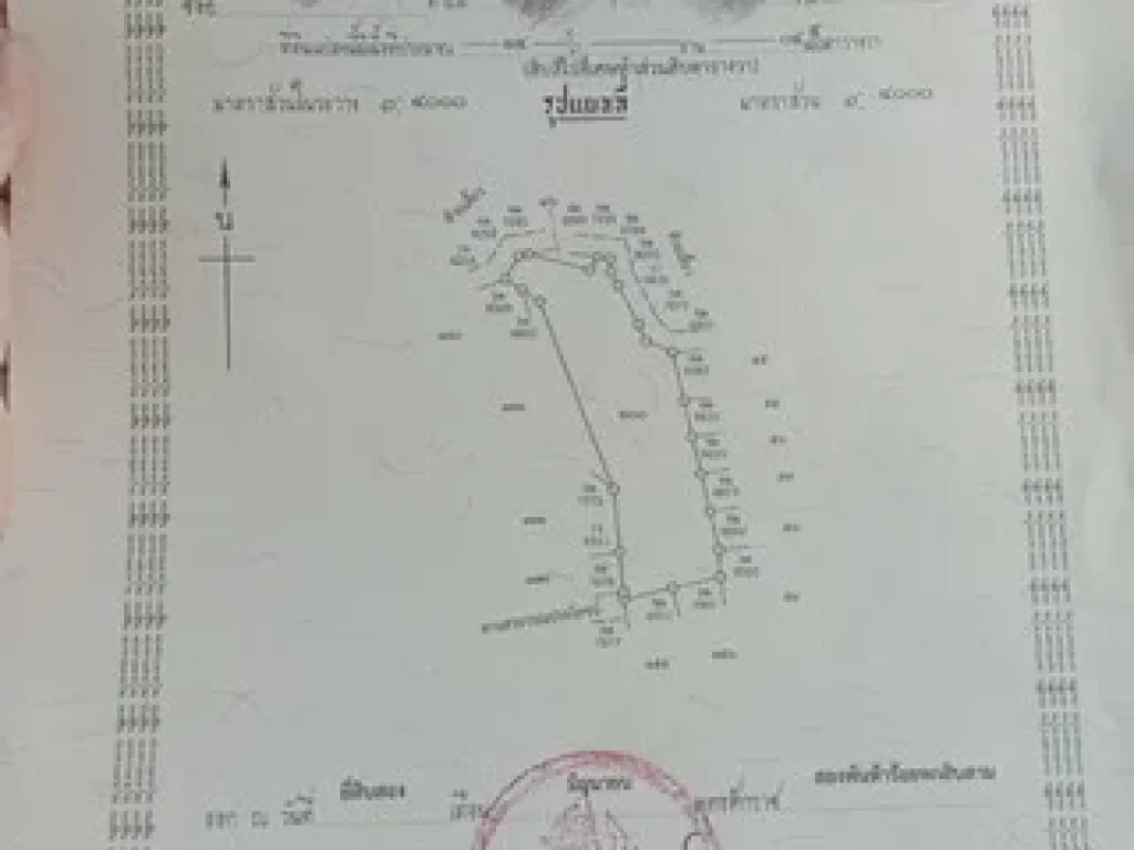 ขายที่ดิน 14 ไร่ 4 ตรว ตน้ำแพร่ อหางดง จเชียงใหม่ เจ้าของขายเอง