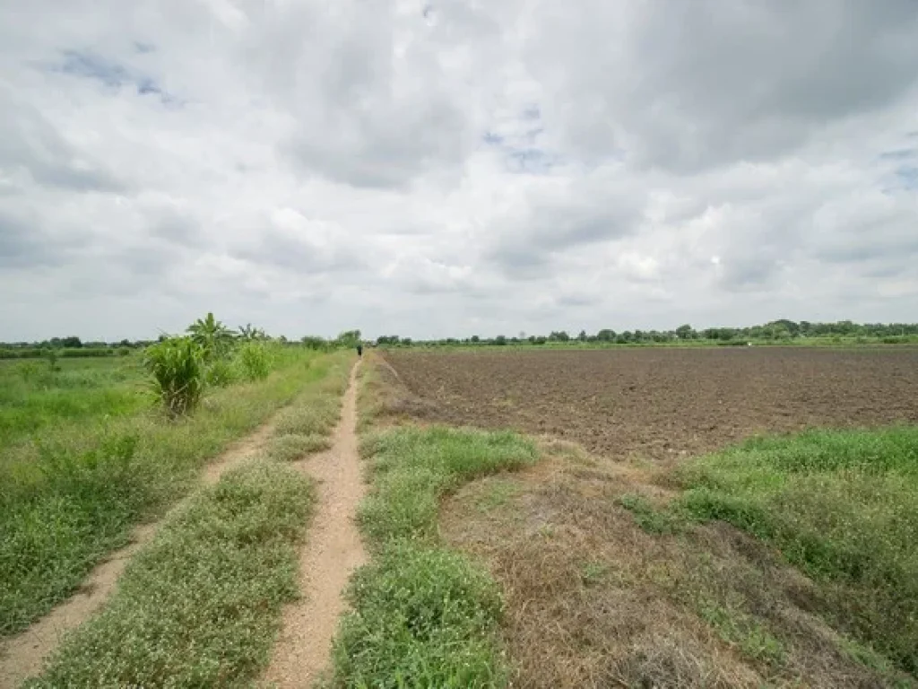 ขาย ที่ดิน ตสำพะเนียง บ้านแพรก อยุธยา ราคาถูกมาก ที่นา