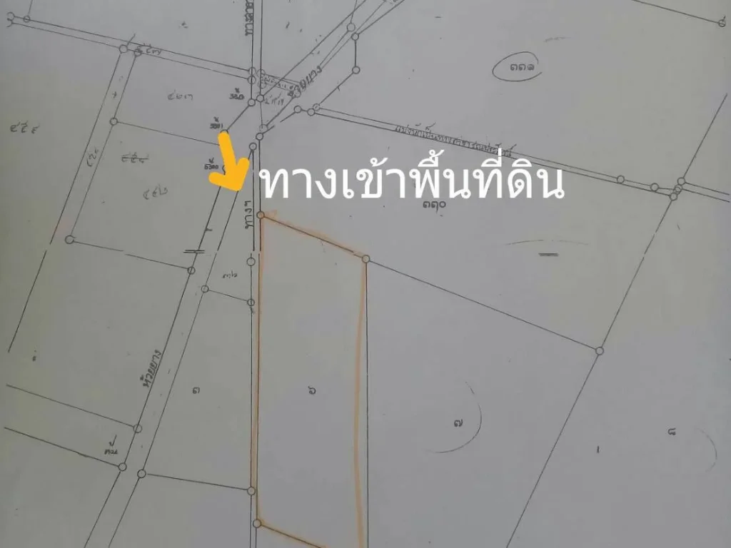 ขายด่วนที่ดิน 25 ไร่ ตำบลหนองไผ่แก้ว อำเภอบ้านบึง จังหวัดชลบุรี