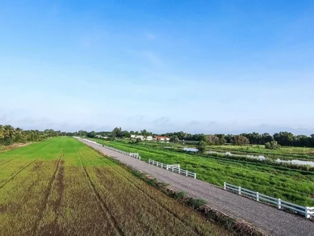 ขายที่ดินแปลงสวย คลอง 9 หนองเสือ ตะวันออก เริ่มต้น 200 ตรว มีน้ำไฟ ถนนกว้าง 6 เมตร