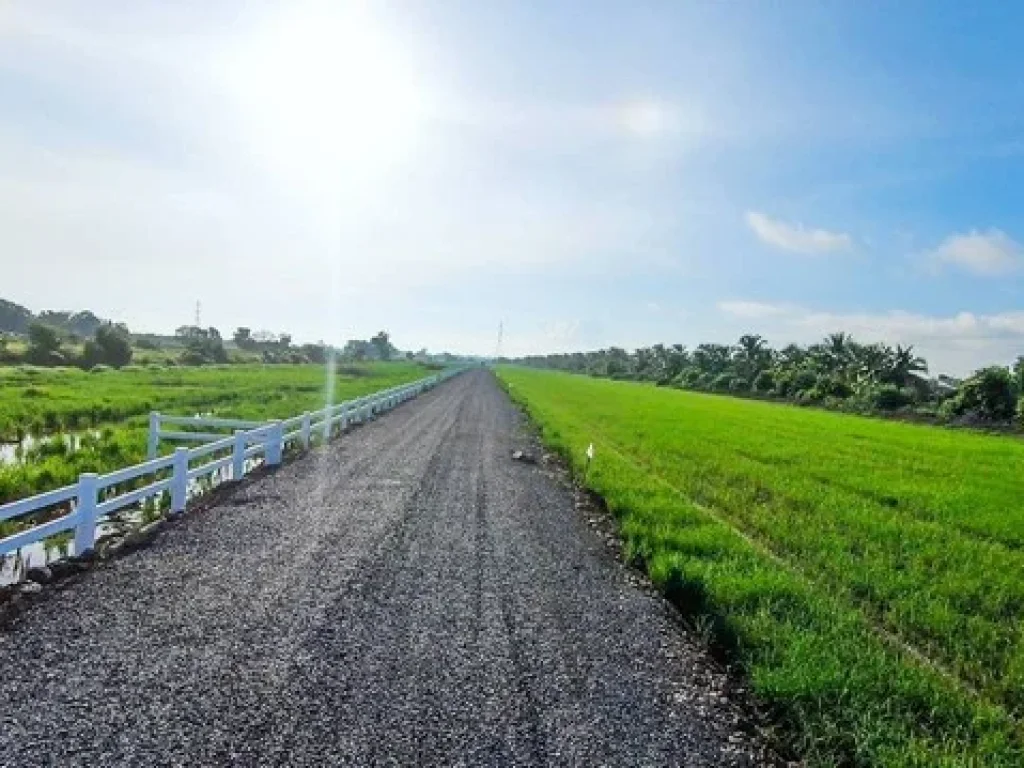 ขายที่ดินแปลงสวย คลอง 9 หนองเสือ ตะวันออก เริ่มต้น 200 ตรว มีน้ำไฟ ถนนกว้าง 6 เมตร