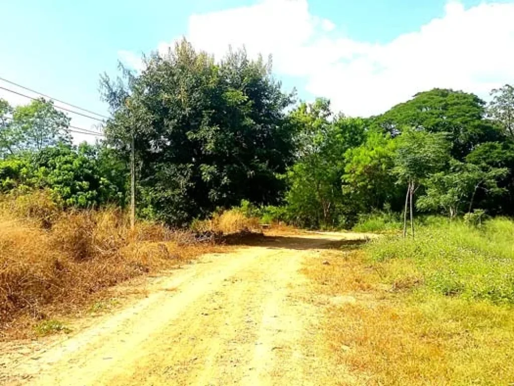 ขายที่ดิน ตำบลสันติสุข อำเภอดอยหล่อ จังหวัดเชียงใหม่