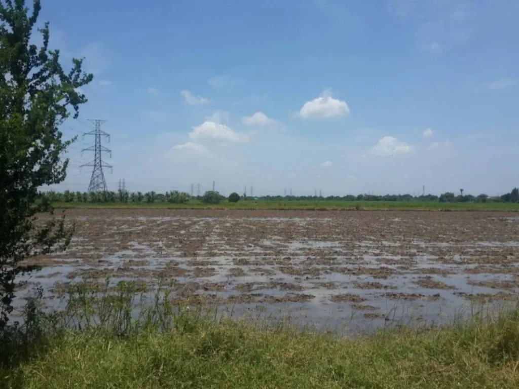 ขายที่ดิน ถเลียบวารี 59 ระหว่างมีนบุรีหนองจอก 7ไร่