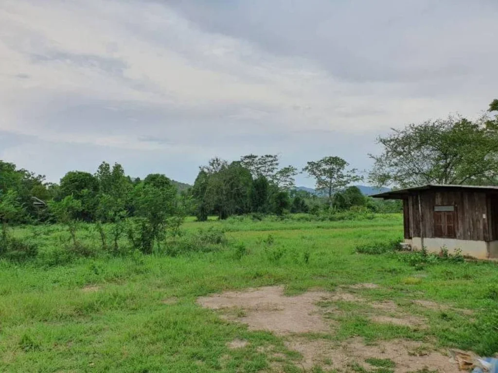 ขายที่ดินติดถนนป่าลาน ดอยสะเก็ต ราคาถูก