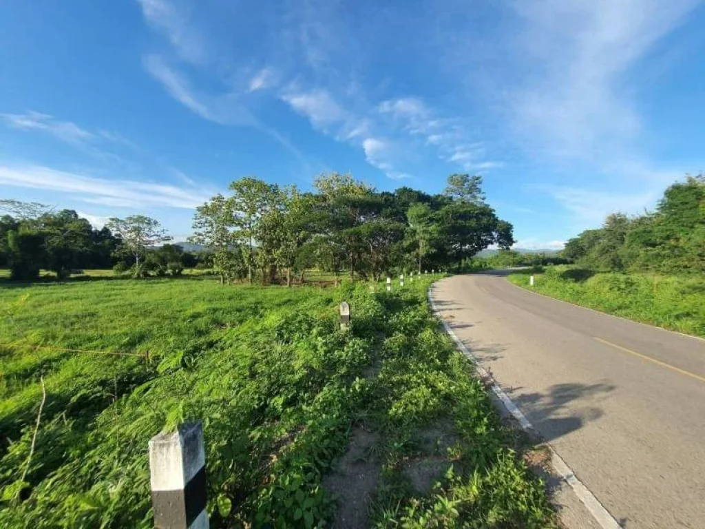 ขายที่ดินติดถนนป่าลาน ดอยสะเก็ต ราคาถูก