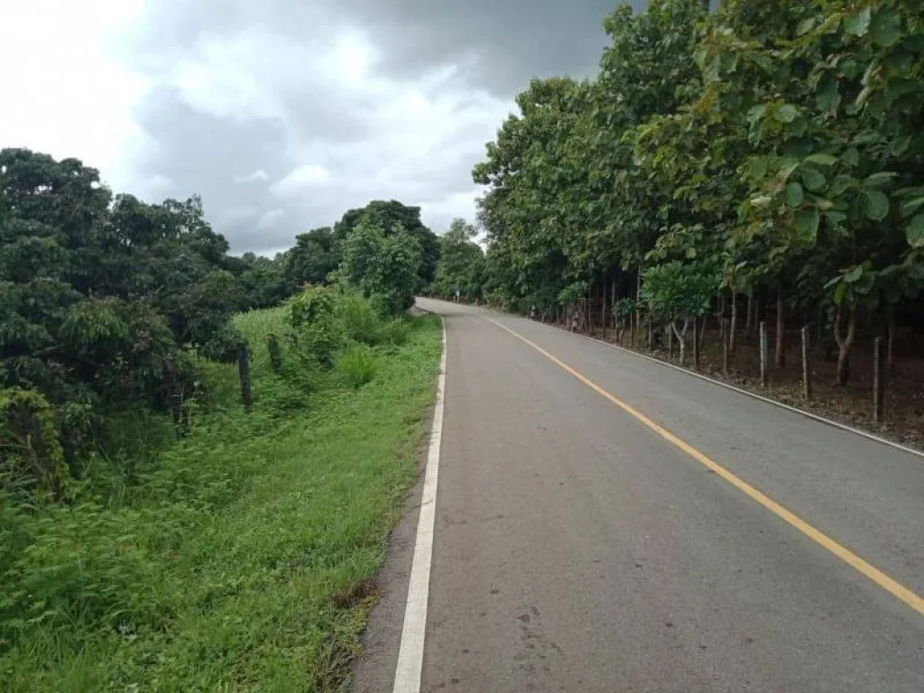 ขายที่ดินติดถนนป่าลาน ดอยสะเก็ต ราคาถูก