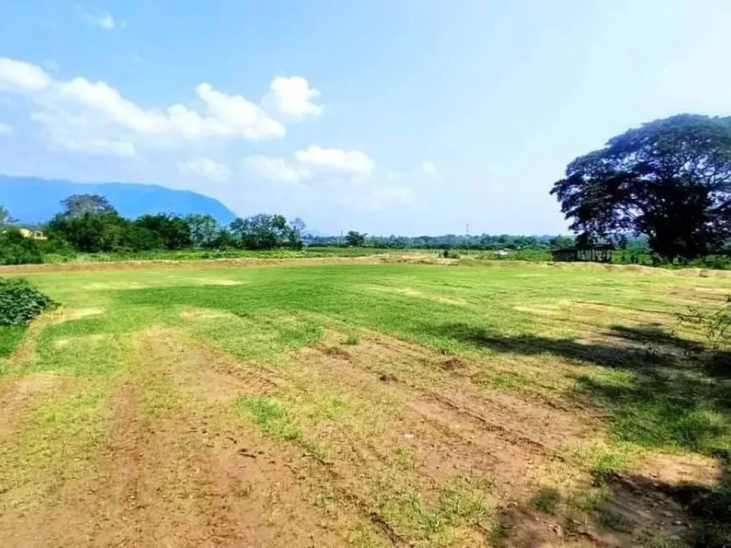 ขายที่ดินติดลำธารน้ำเชียงดาววิวดอยหลวงโฉนดพร้อมโอน