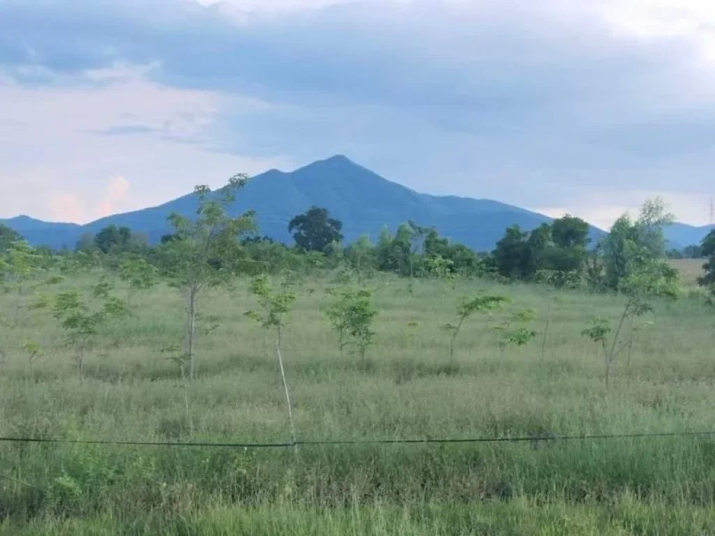 ขายที่ดินติดลาดยาง 2 ไร่ ใกล้ชิดเขาวงค์พระจันทร์