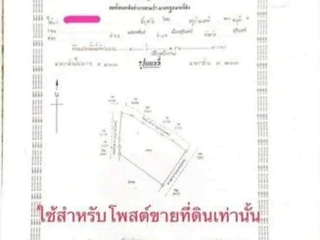 ขายที่ดินขนาด 4 ไร่ 1 งาน อำเภอเมืองจังหวัดสุรินทร์