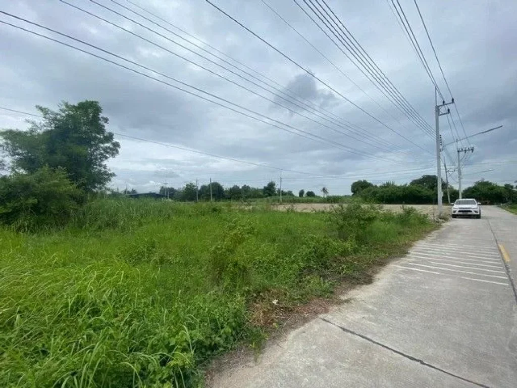 ขายที่ดินหนองบอนแดง 200 ตรว ติดถนนคอนกรีต ซอยวัดหนองเขิน