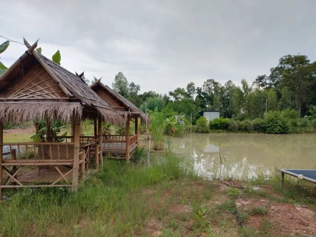 ขายที่ดิน ต ห้วยสามพาด ประจักษ์ศิลปาคม อุดรธานี