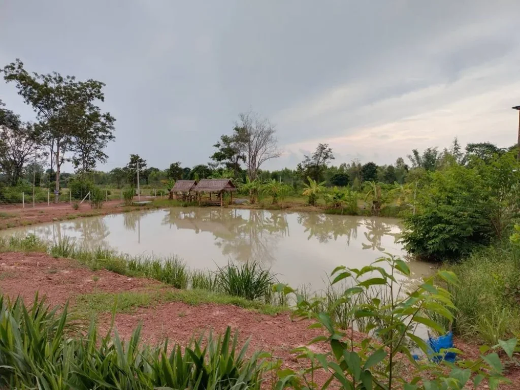 ขายที่ดิน ต ห้วยสามพาด ประจักษ์ศิลปาคม อุดรธานี