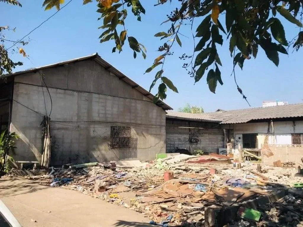 ขายที่ดิน 149 ตรว อำเภอเมือง เชียงใหม่ ใกล้ถนนคนเดินวัวลาย