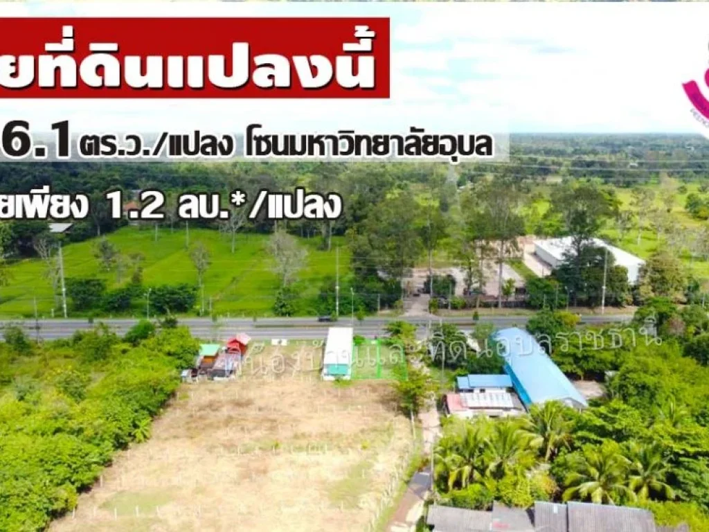 ขายที่ดินแปลงสวย 2แปลง ติดถนนเส้นหลัก ใกล้มหาวิทยาลัยอุบล