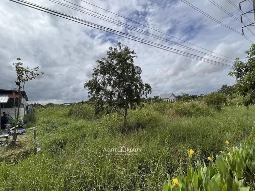 ขายถูก ที่ดิน 38 ไร่มีทางเข้าถนนประชาสำราญ หนองจอก