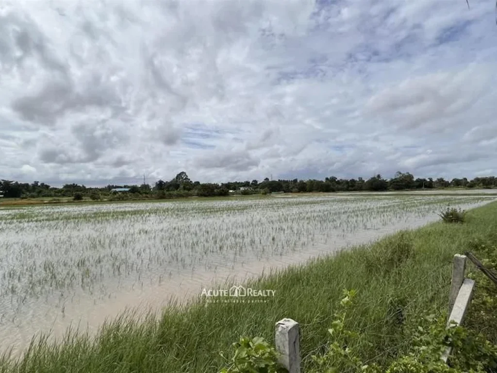 ขายถูก ที่ดิน 38 ไร่มีทางเข้าถนนประชาสำราญ หนองจอก