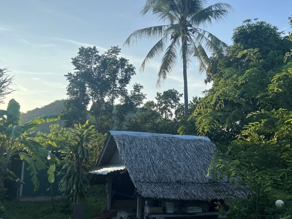 บ้านสวนเกษตรติดลำห้วย น่าอยู่ร่มรื่นมากๆๆ