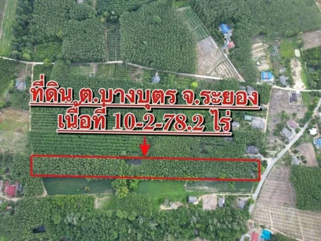 ขายที่ดินระยอง 10-2-782ไร่ ตบางบุตร อบ้านค่าย จระยอง