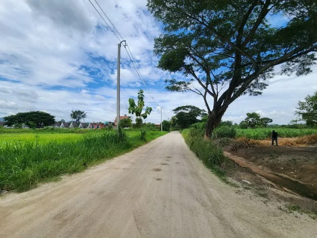 ขายที่ดินปากช่อง นครราชสีมา ตำบลขนงพระ ตรงข้ามบ้านสวนตาแรม