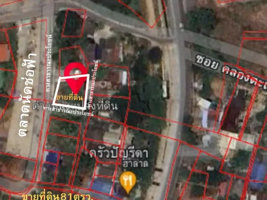 ขายที่ดิน 81ตรวตคลองตะเคียน จอยุธยาติดตลาดนัดช่อฟ้า