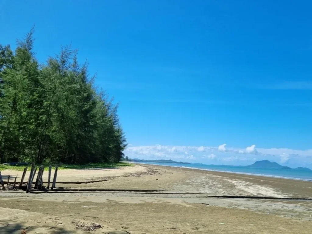 ขายที่ดิน ติดชายทะเล หาดยาว จังหวัด กระบี่ ทำเลศักยภาพ