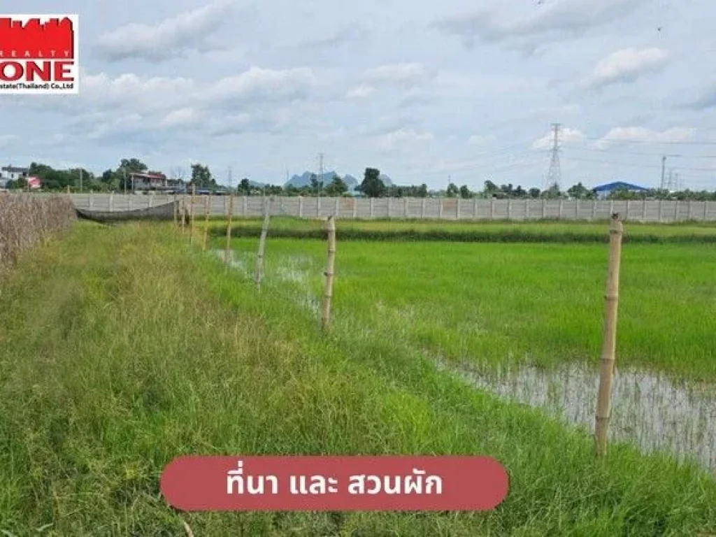 ขายที่ดิน 5 ไร่ ทำเลดีใกล้สนามบอลมิตร หน้าที่ติดถนน ตดอนตะโก