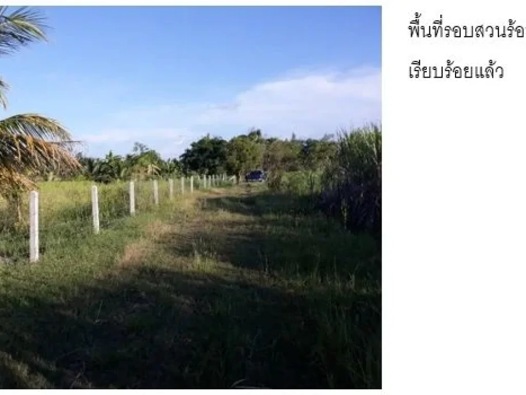 ขายที่ดินติดถนน พร้อมสวนมะพร้าวติดตั้งโซลาร์เซลล์ในสวน