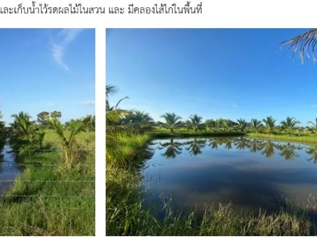 ขายที่ดินติดถนน พร้อมสวนมะพร้าวติดตั้งโซลาร์เซลล์ในสวน