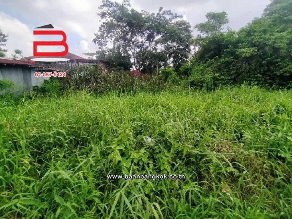 ที่ดินเปล่า ซสองพี่น้องคลองถนน ใกล้สถานีรถไฟฟ้าคลองบางไผ่