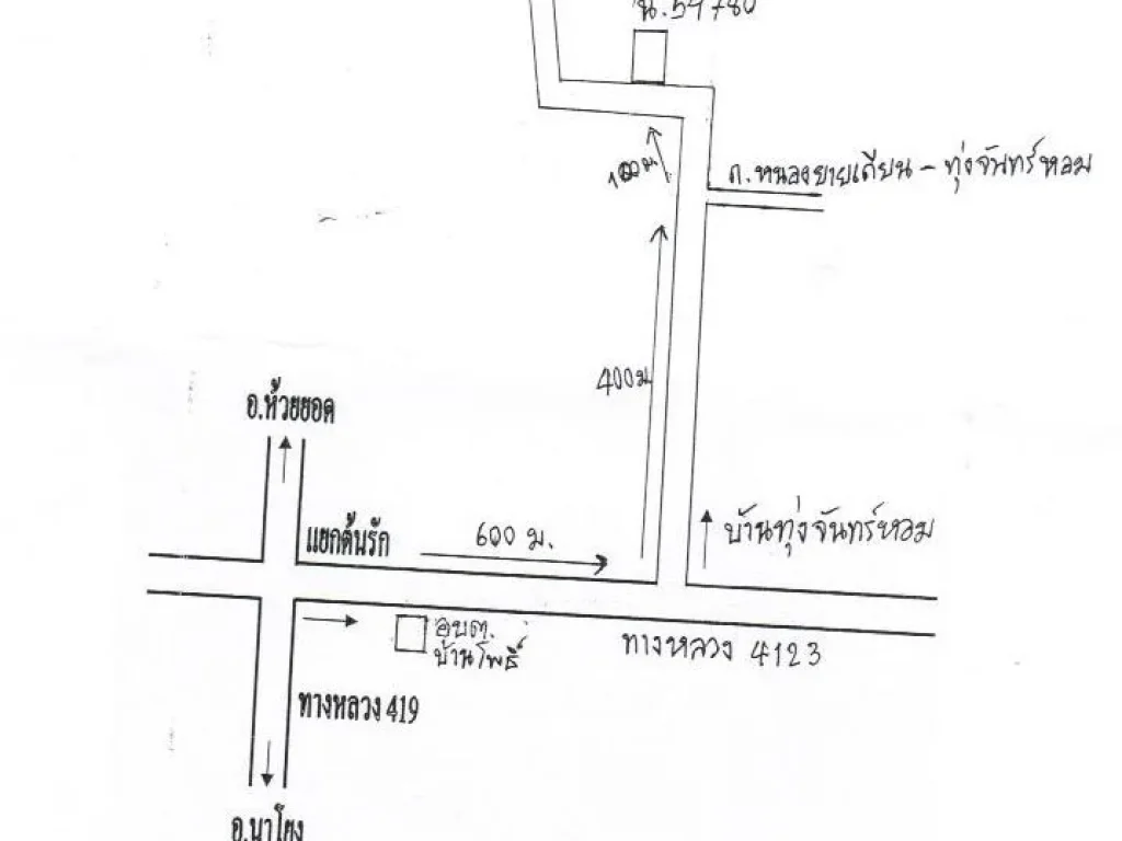 ขายที่ดินเปล่า ติดถนน ลาดยาง ชานเมืองตรัง