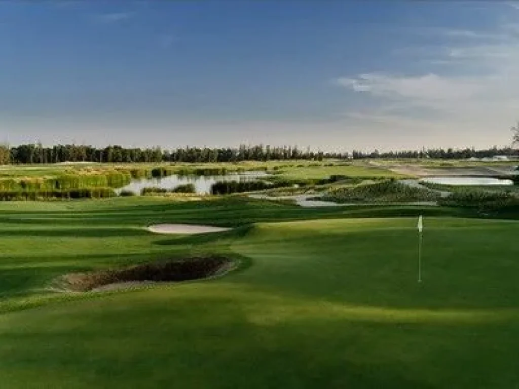 ที่ดินเปล่าในสนามกอล์ฟ Ballyshear Golf links ผังเมืองสีเหลือง