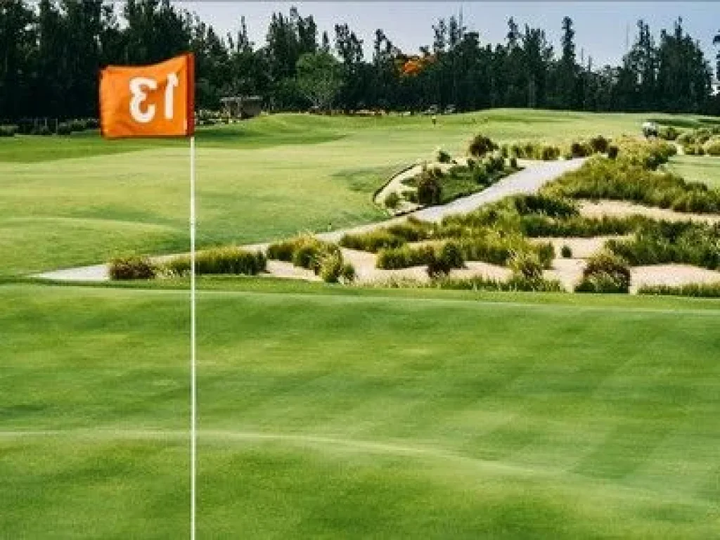 ที่ดินเปล่าในสนามกอล์ฟ Ballyshear Golf links ผังเมืองสีเหลือง