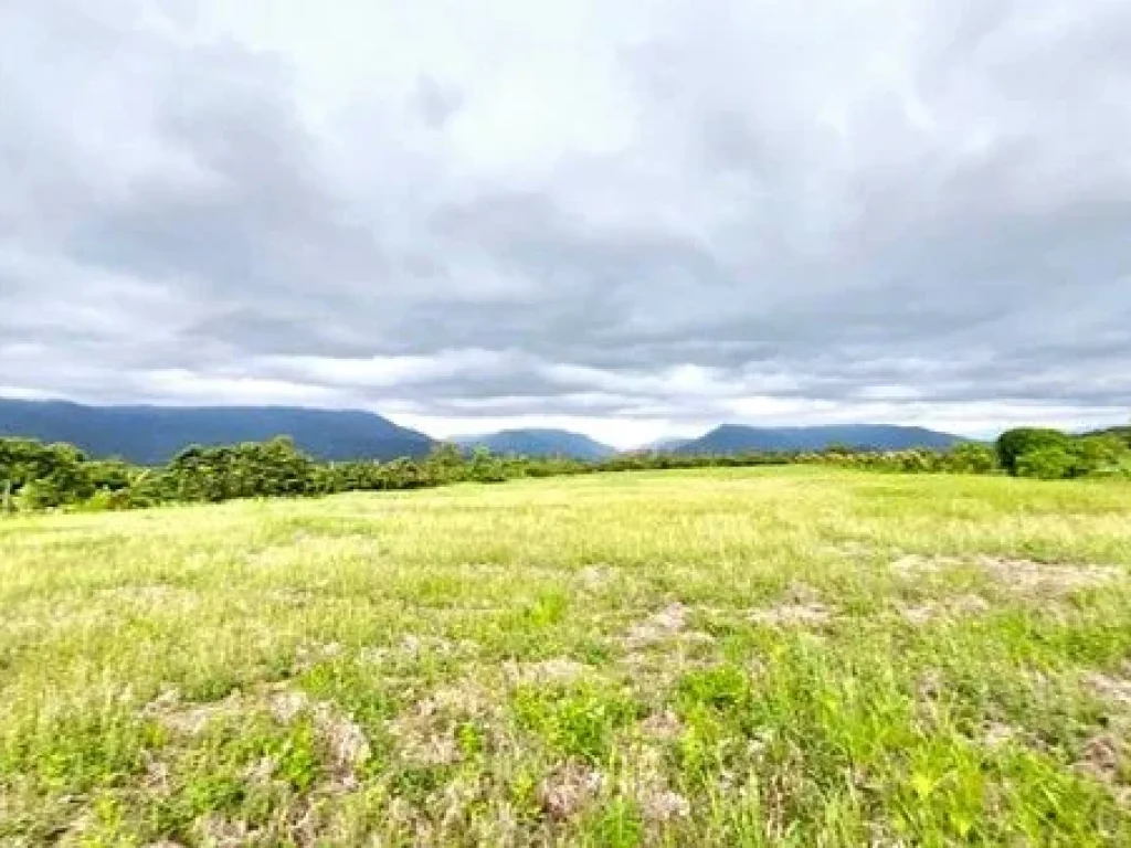 ขายที่ดินสอยดาว จันทบุรี 5 ไร่ ติดถนนจันทบุรี-สระแก้ว ถมแล้ว