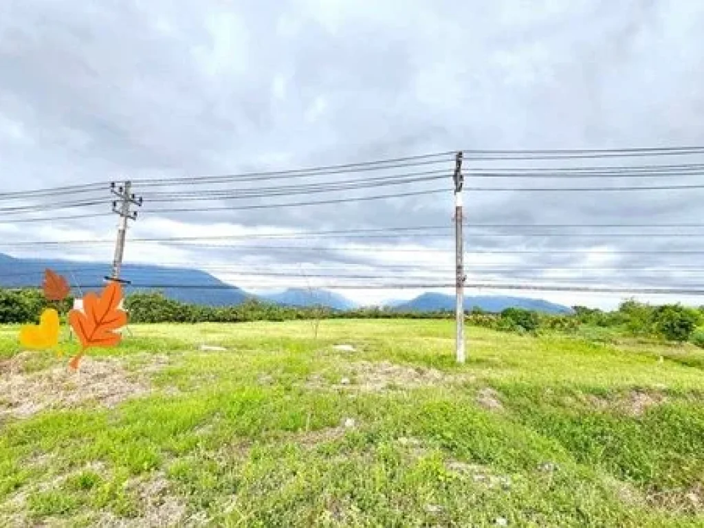 ขายที่ดินสอยดาว จันทบุรี 5 ไร่ ติดถนนจันทบุรี-สระแก้ว ถมแล้ว